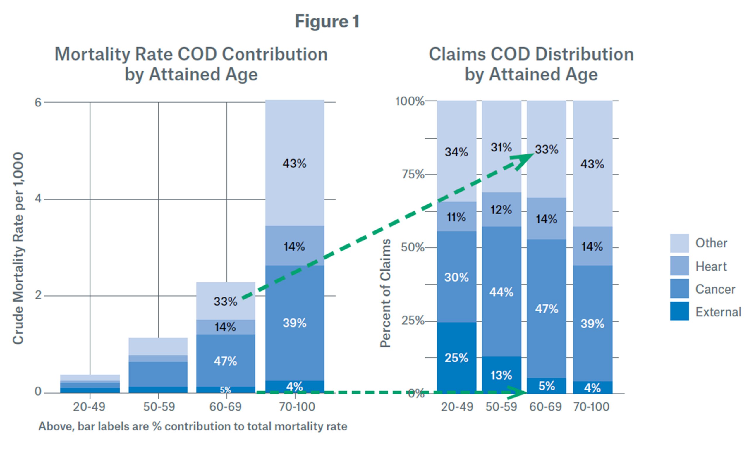 Observations By Cause Of Death In The Individual Life Insurance Population Munich Re Life US